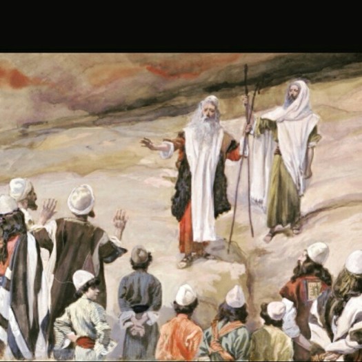 d293c90ec20ed17c4c2b76478d767725