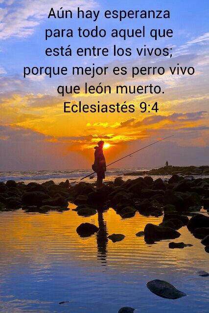 973a4a7ece3416aaf3c037841881d43f