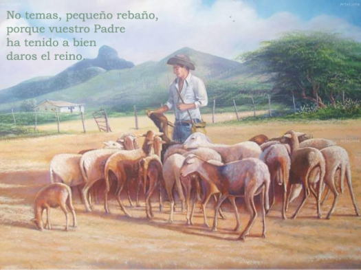 pequeño-rebaño-Transparente