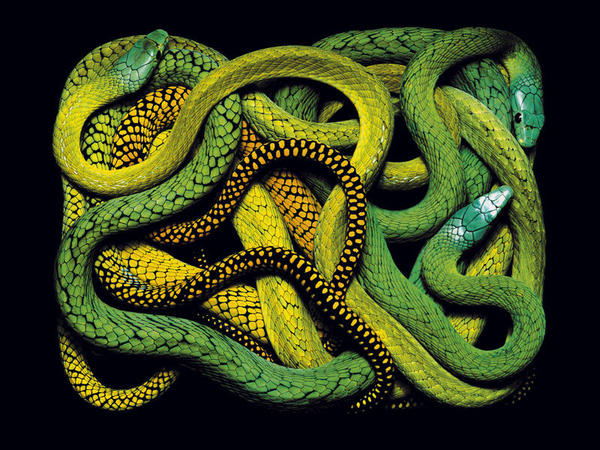 01mamba_full_landscape