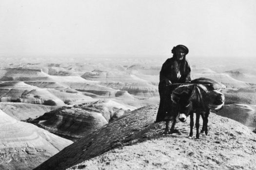 BalaamandDonkeyGettyImages-2664295-593ff8125f9b58d58ad283e6