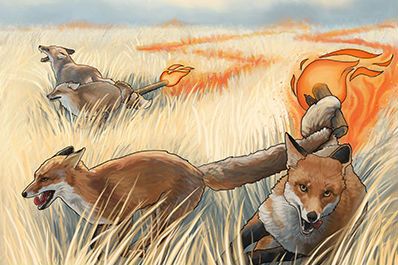 978072bfe683ace9ee234fe1c233d475--kids-ministry-foxes