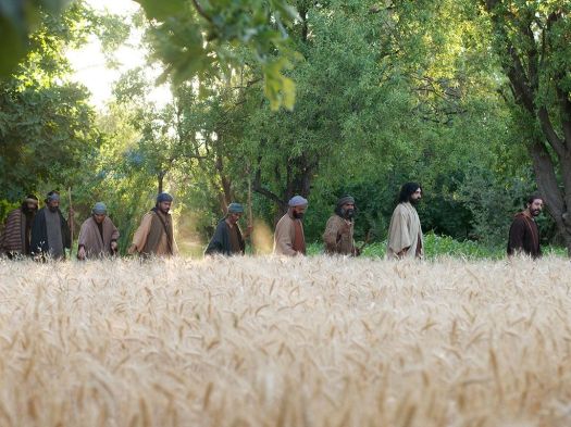 001-lumo-corn-sabbath