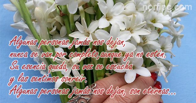 algunas-personas-jamas-nos-dejan