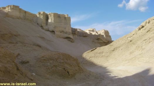 5f54e7573f7cb1b0d1426a617c62ae9f