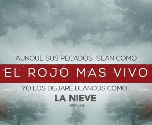 fcdc442896e45d63969ffd76c01310f1