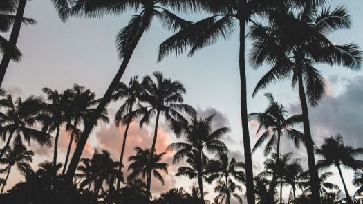 faikiebmdn1cm49hpat2