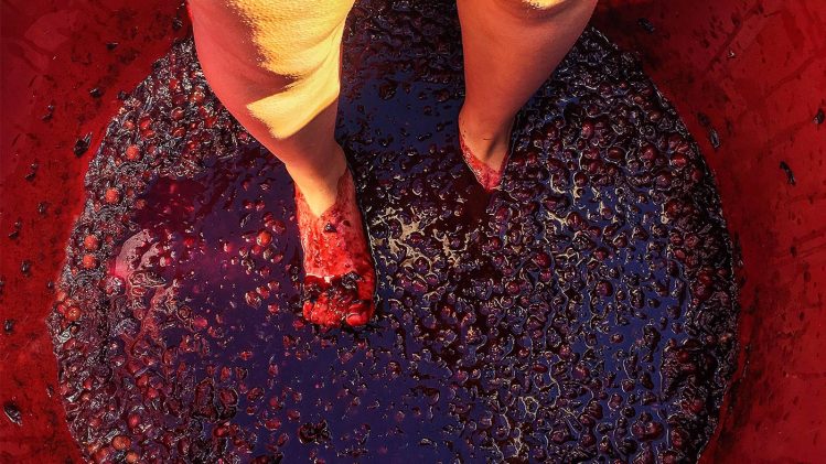 Feature-Grape-Stomping-Wine-Traditions