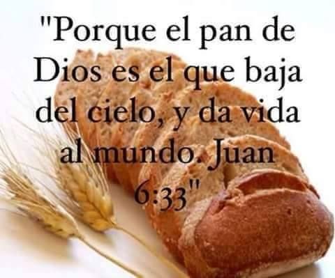 fe8b9f1e86482f553f63a1c50fbf4bd4