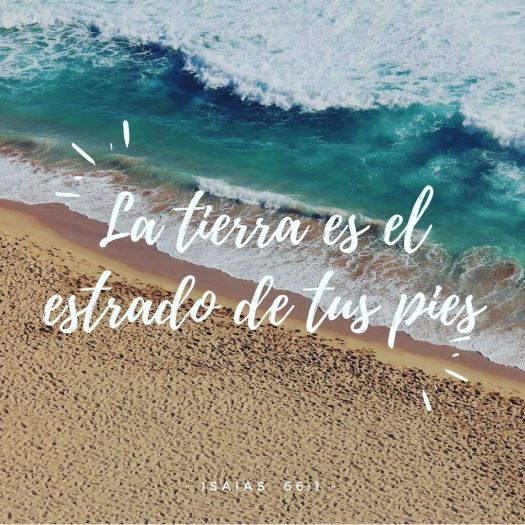 36830956_416182762215093_3637561120429965312_n