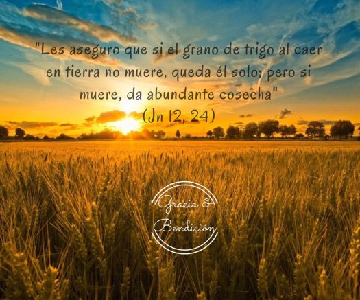 644d4cc5c255f92625ce970ea3255330