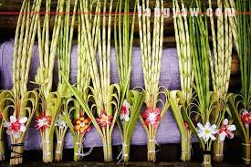 palm sunday 2
