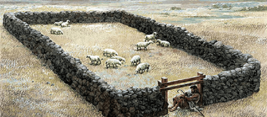 Sheep-pen-Jesus