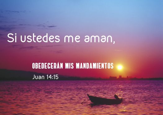 f2235aa6d8a54222d9b0a8a49905768a