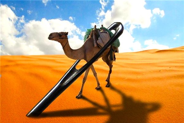 October 14 Camel and Needle