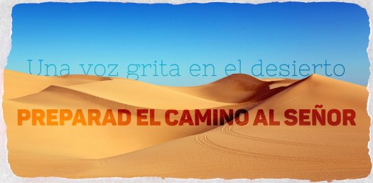 OM05_VozDesiertoPreparad