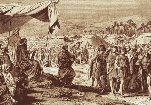 the-wilderness-census