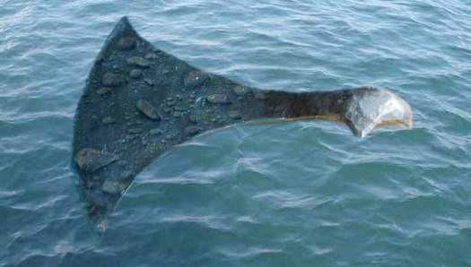 2017-08_AxeHeadFloat