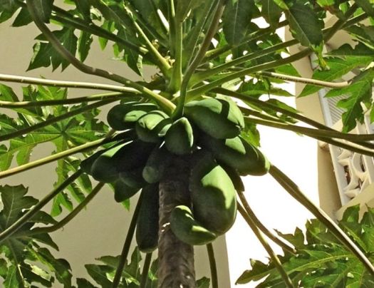 photo-142-56a543823df78cf772875d11