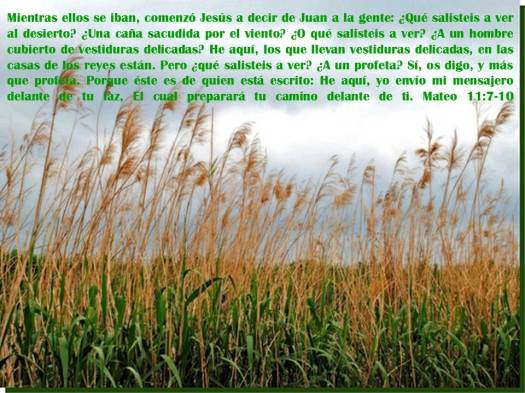 Presentation mateo 11 7-10