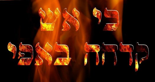 5c05235042e49e25a30d971f_143976