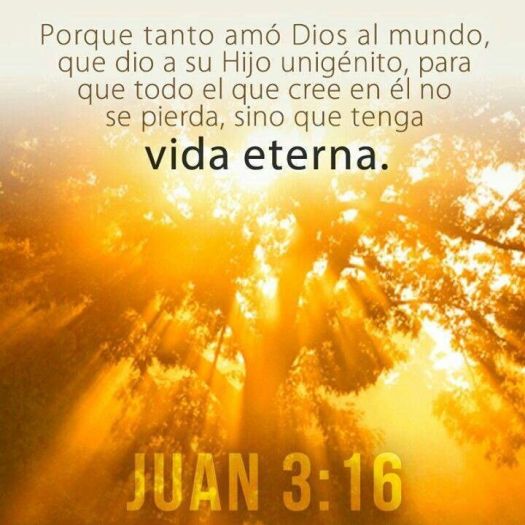 82fcc18ac33ad5ec397daab9769983fc