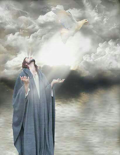 9633c74d908e0d9fb6bacd55a55fae04