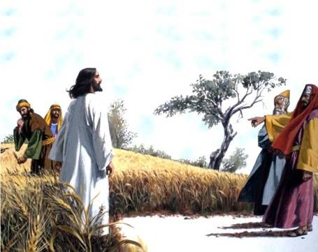 ff51f97a607830faf47ca48a6623f629