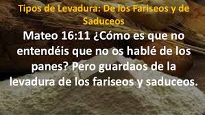 lalevaduradelosfaiseos