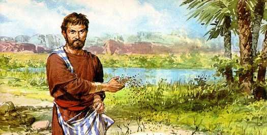 Parábola-del-sembrador