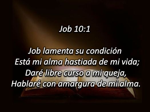 Job+10-1+Job+lamenta+su+condición+Está+mi+alma+hastiada+de+mi+vida;+Daré+libre+curso+a+mi+queja,+Hablaré+con+amargura+de+mi+alma.