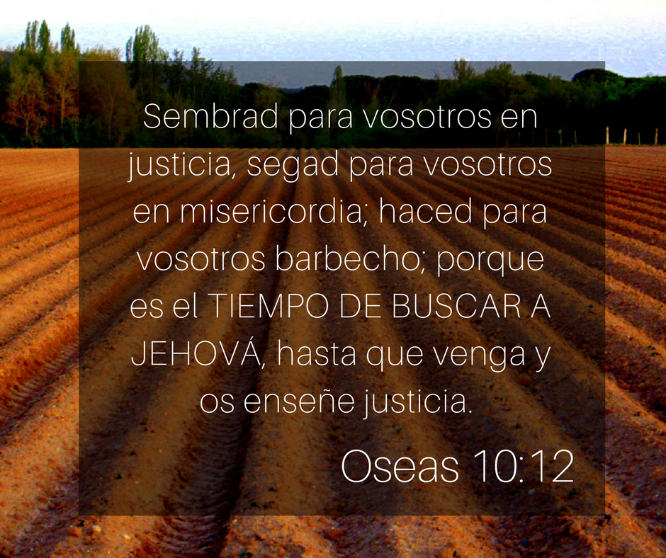 Oseas 10-12