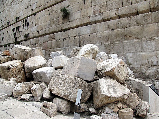 SatVes propio 15 año 1