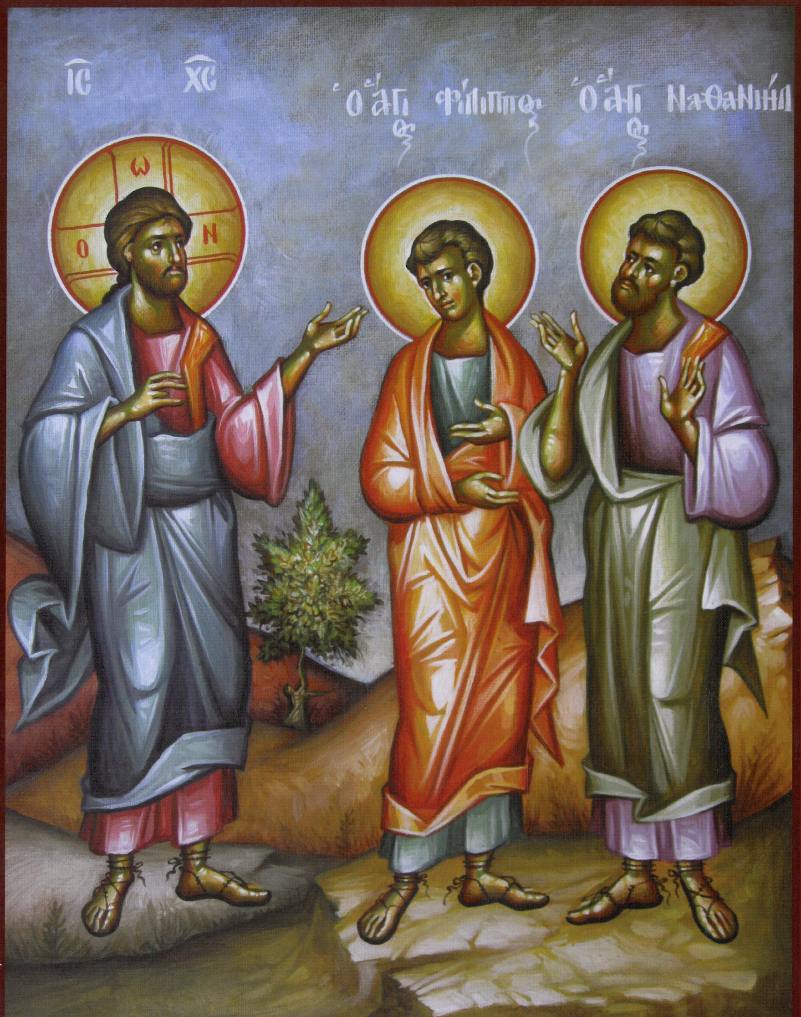 VesDom Propio 13 año 1