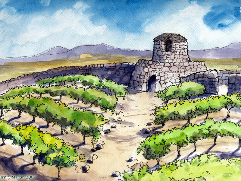 VesTue propio 15 año 1