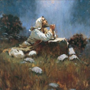 VesVierprop16 año 1