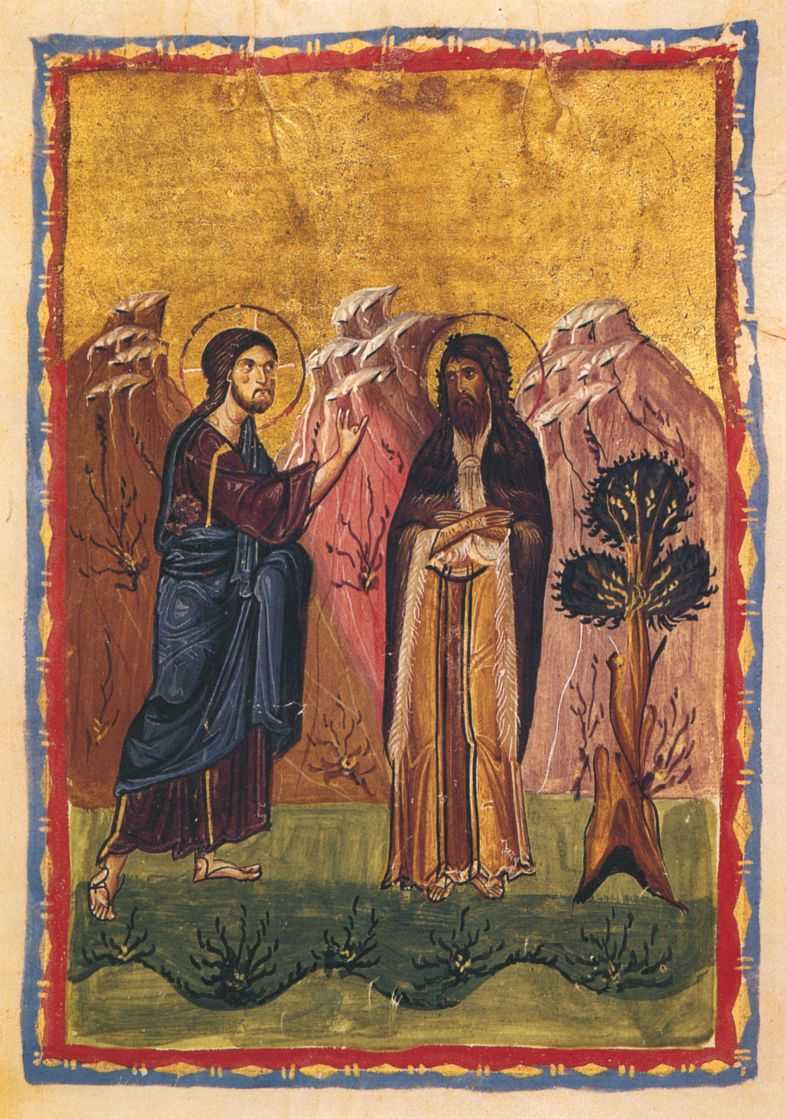 VesDomPropio 14 año 1