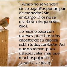 VespJuevesPropio25